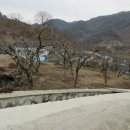 곡성-114 네이버블로그