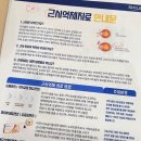 마이오 티스토리