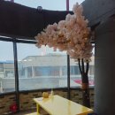 다쉼하우스 이미지