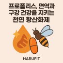 허브팜우리약국 | 벌이 만든 천연 방어막, 프로폴리스 완전정복 가이드