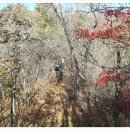 삼도봉민박 이미지