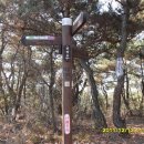 윗선골 Daum카페