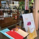 도그시티 이미지