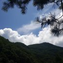 하늘농장5 이미지