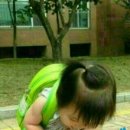 심봐따