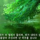 참하다참치 이미지