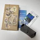 일공공일안경콘택트 장대점 | 여름 선글라스 추천! 셀린느 트리옹프 01 선글라스