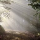 행복에너지충전소 이미지