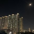 부천토박이의 부천공원 소개 : 중앙공원