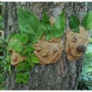 보고유치원 이미지