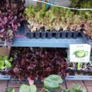 중앙종묘사 이미지