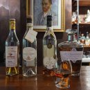 함박이네 애견샵 이미지