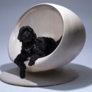 강아지집 이미지