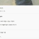타코밤즈 타코야끼 네이버블로그