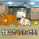 메이데이
