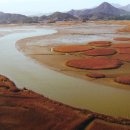 나주식당 이미지