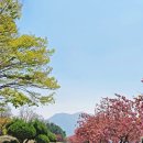 화수공원 이미지