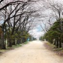 청려수련원 이미지