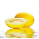 장해농장 이미지