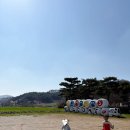 대평목장 | 천안 아이랑 가볼만한곳｜맘맘스 체험 후기 (피자 만들기 + 동물먹이체험까지 완벽한 하루)