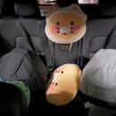 도담도담 고양이 호텔 네이버블로그