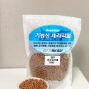 제주이엔티 | 유경이엔티 천연 탈취제 냄새 제거하기 제주화산송이볼