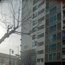 현대홈타운아파트 정문 앞 이미지
