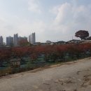 코아루부자공인중개사사무소 이미지