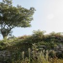 장산 대성산성 이미지