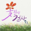 꽃길만걷자 이미지