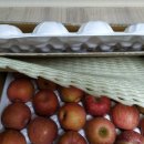 윤서농장 이미지