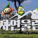 나눔카센터 이미지