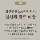 노블라인 이미지