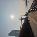 26-3/12-목 양평해장국-아침밥 성동/서울숲-산책 SM엔터테인먼트-둘러봄 햄버거-저녁밥 이미지