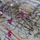 샤크존 | 대전안경점 탄방동 안경 아이러브안경원 샤크존점