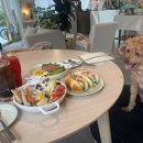 그릿죽전점 이미지