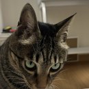 혹부리한의원 이미지