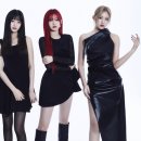 하이키