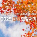 단풍 절정시기 이미지