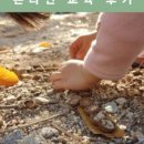 콩세알어린이집 이미지