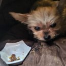 인프라소닉웨이브 이미지