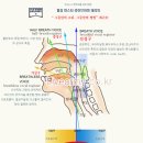 복식 호흡법 이미지