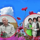 코스모스환경 이미지