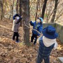 나무와새어린이집 이미지