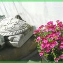 금화공간 이미지