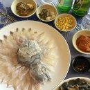 왔다회초장 이미지