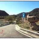 천도리양지마을 이미지