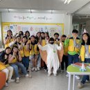 대림초등학교 이미지