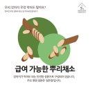 하샘펫푸드연구소 이미지