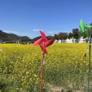 삼척안뜰캠핑장 이미지